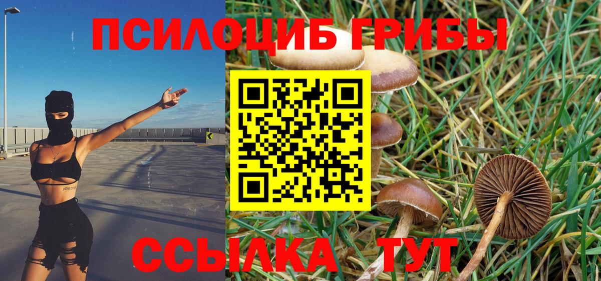 Галлюциногенные грибы GOLDEN TEACHER  где купить   Звенигород  Вход с VPN 